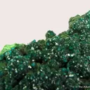 Dioptase on Conichalcite (?) - image 3