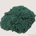 Dioptase on Conichalcite (?) - image 1