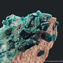 Dioptase on Dolomite with Malachite - image 3