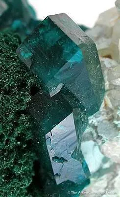 Dioptase on Malachite - image 3