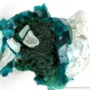 Dioptase on Malachite - image 1