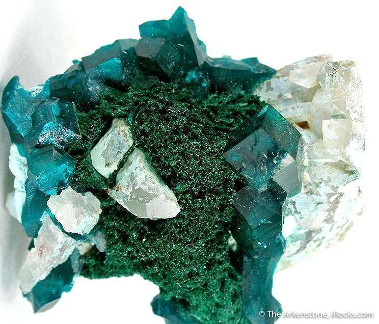 Dioptase on Malachite - image 2