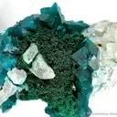 Dioptase on Malachite - image 2