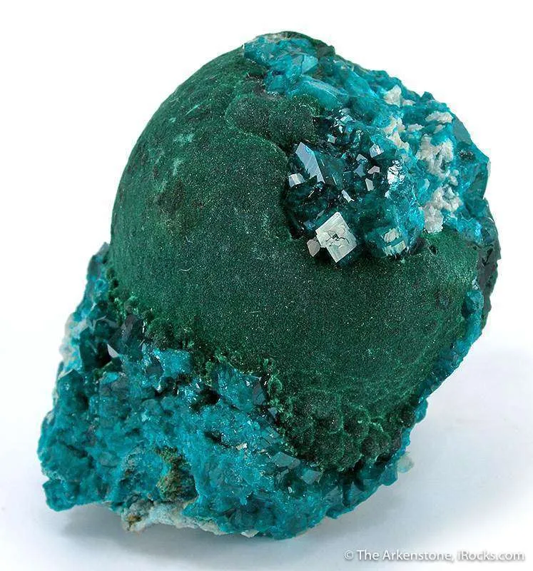 Dioptase on Malachite (Unusual!) - image 1