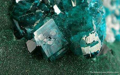Dioptase on Malachite (Unusual!) - image 3