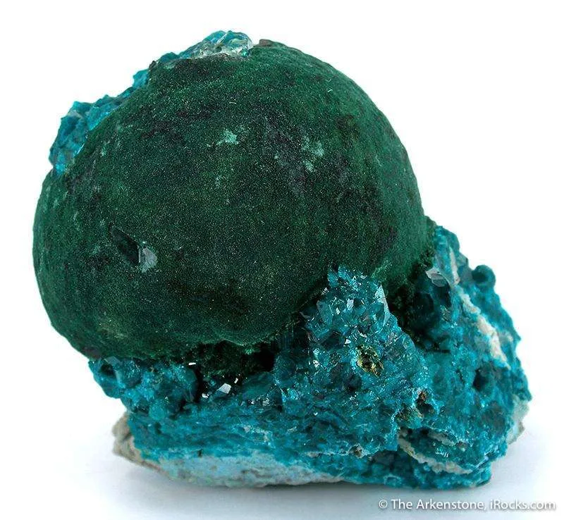 Dioptase on Malachite (Unusual!) - image 2