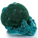 Dioptase on Malachite (Unusual!) - image 2