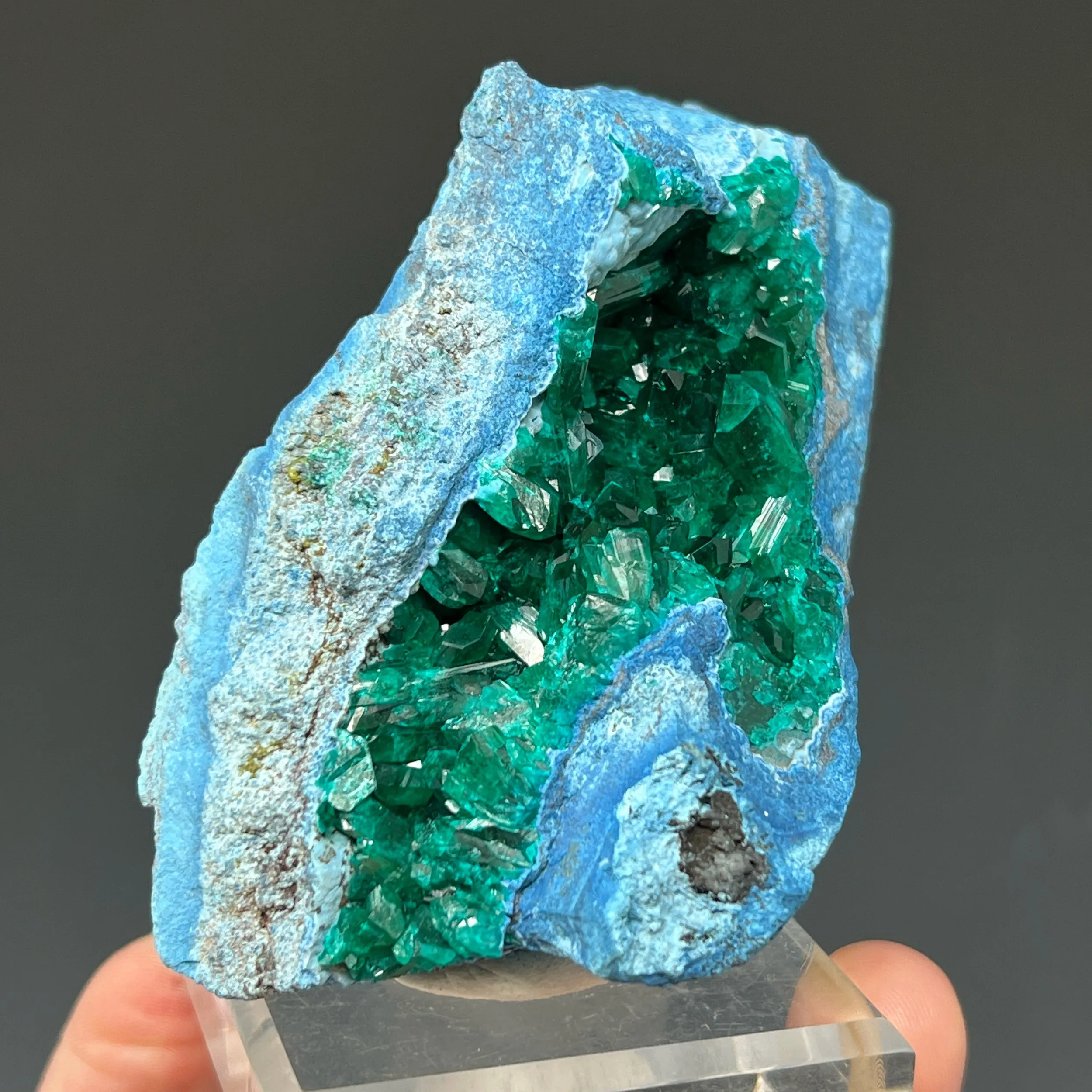 Dioptase on Plancheite - image 2