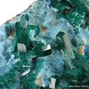 Dioptase on Plancheite - image 2