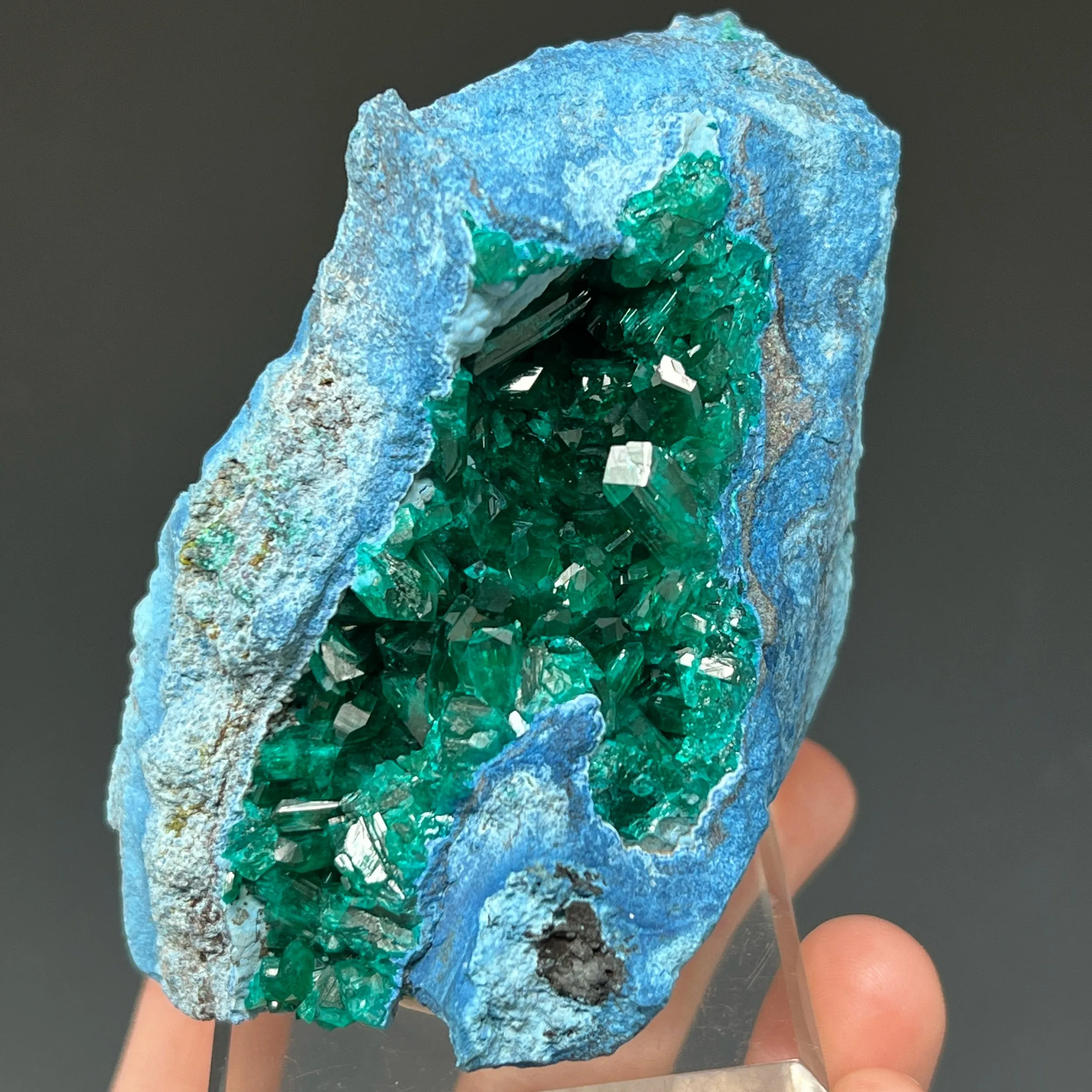 Dioptase on Plancheite - image 4