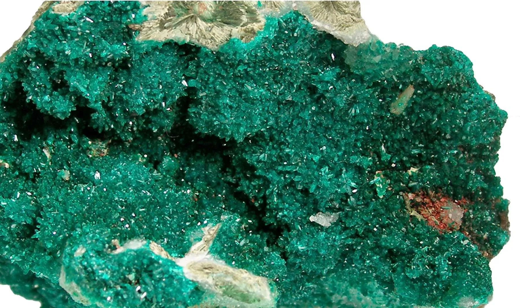 Dioptase on Quartz - image 5