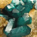 Dioptase on Quartz - image 4