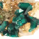 Dioptase on Quartz - image 3