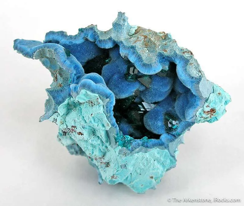 Dioptase on Shattuckite in Chrysocolla Geode image