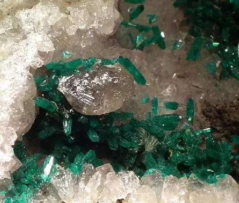 Dioptase, Quartz, Cerussite - image 2