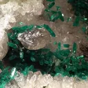 Dioptase, Quartz, Cerussite - image 2