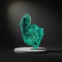 specimen video