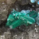 Dioptase, Shattuckite, Quartz - image 2