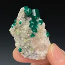 Dioptase, Tsumeb Mine, Tsumeb, Oshikoto Region, Namibia - image 1