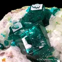 Dioptase with Calcite - image 5
