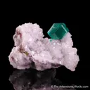 Dioptase with Calcite - image 4