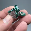 Dioptase with Calcite - image 2