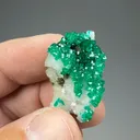Dioptase with Calcite - image 2