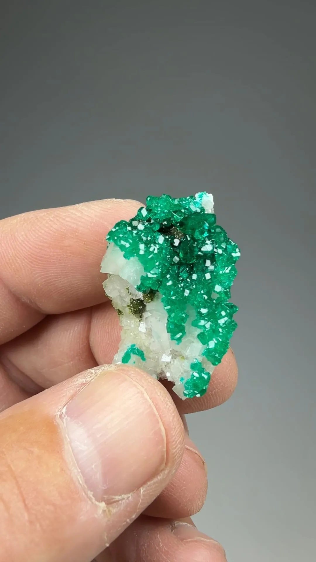 Dioptase with Calcite - image 2