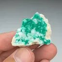 Dioptase with Calcite - image 2