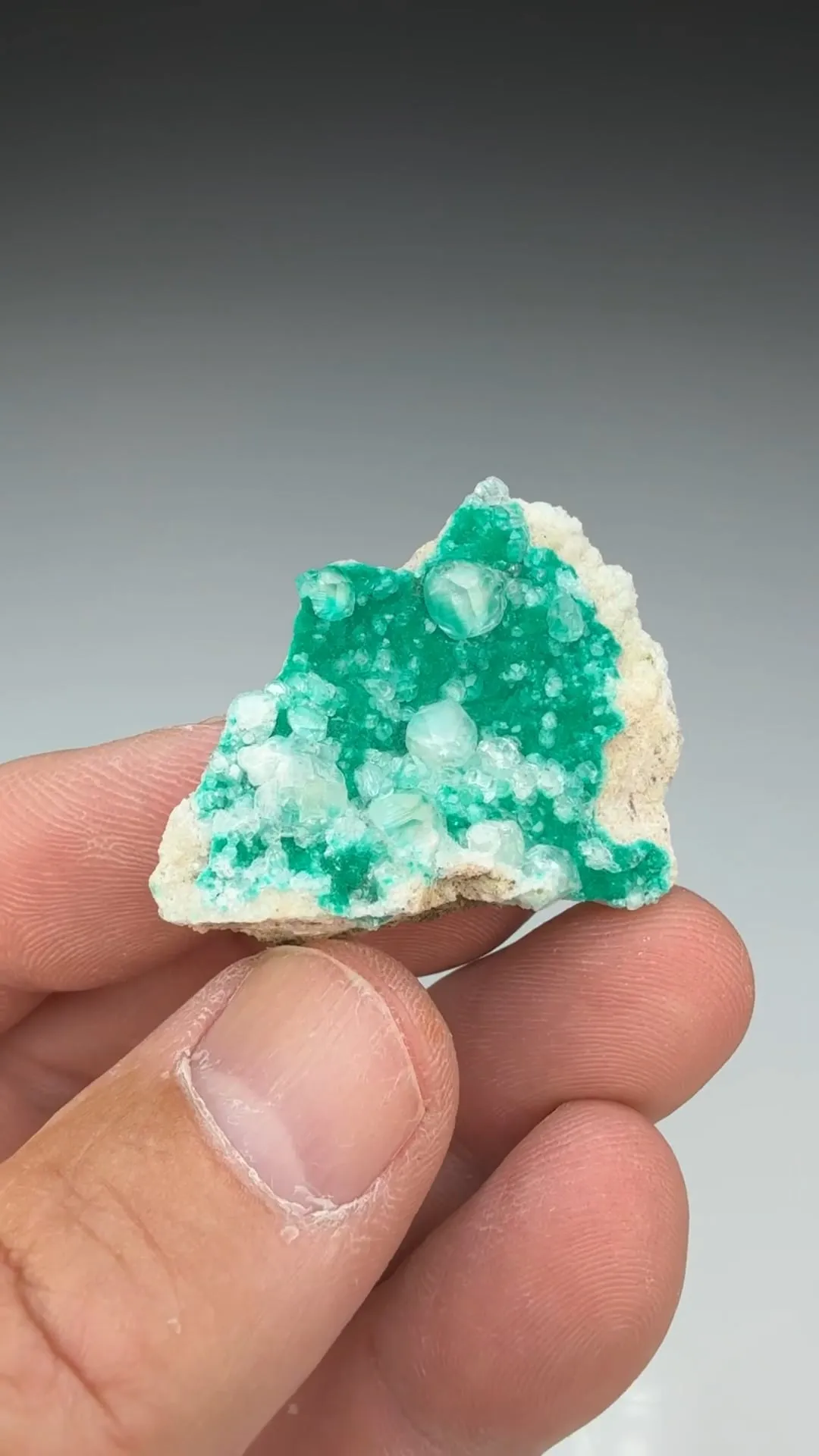 Dioptase with Calcite - image 2