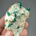 Dioptase with Calcite - image 2
