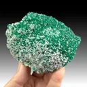 Dioptase with Calcite - image 1