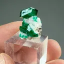 Dioptase with Calcite - image 2