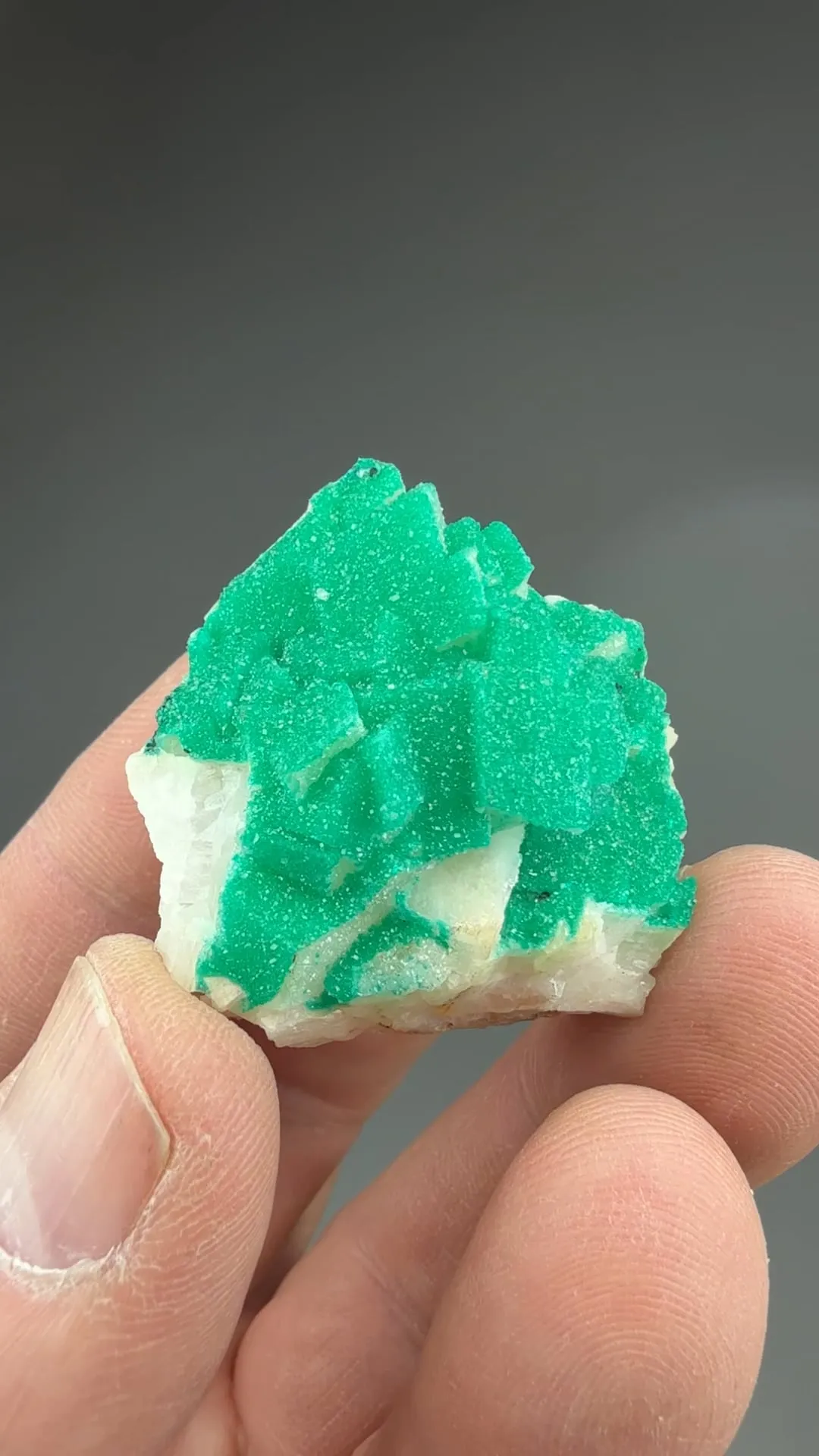 Dioptase with Calcite - image 2