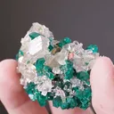 Dioptase with Calcite - image 2