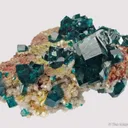 Dioptase with Calcite and Duftite - image 3