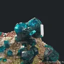 Dioptase with Calcite and Duftite - image 4
