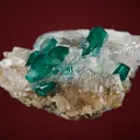Dioptase with Calcite - image 4