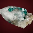 Dioptase with Calcite - image 3