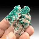 Dioptase with Calcite - image 1