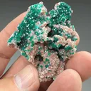 Dioptase with Calcite - image 2