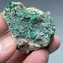Dioptase with Calcite, Duftite - image 2