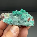 Dioptase with Calcite, Duftite - image 2