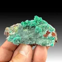 Dioptase with Calcite, Duftite - image 1