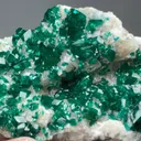 Dioptase with Calcite - image 2