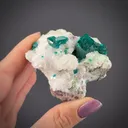 Dioptase with Calcite - image 2