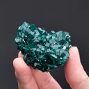 Dioptase with Calcite - image 2