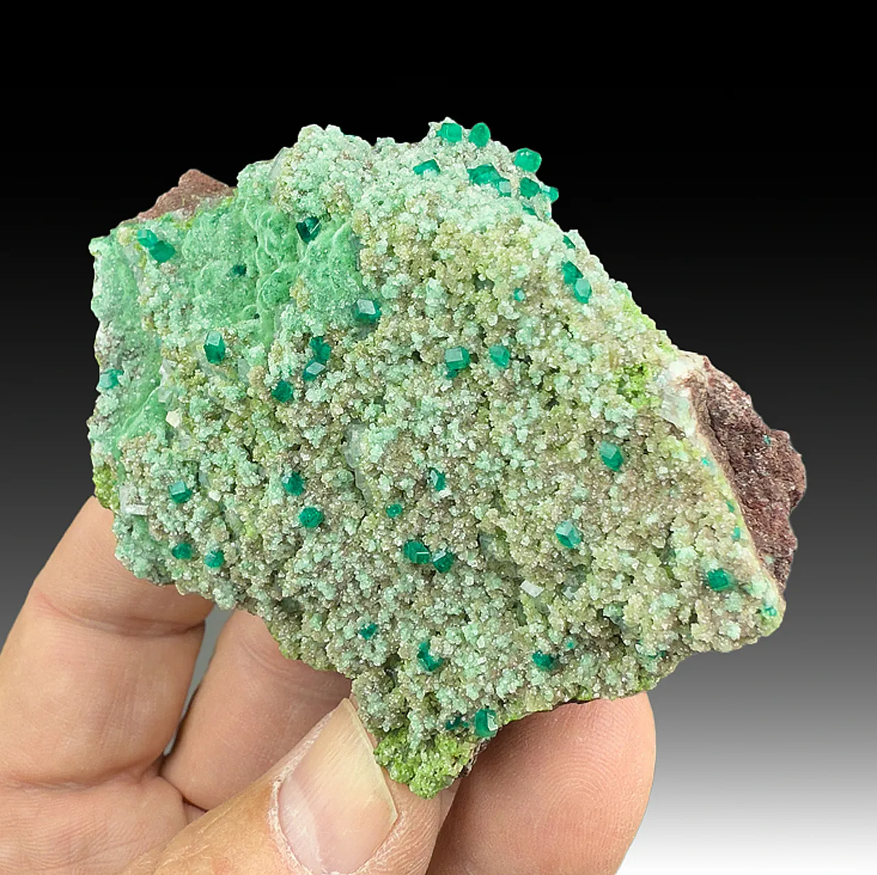 Dioptase with Calcite, Malachite - image 1