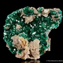 Dioptase with Cerussite - image 1