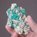 Dioptase with Cerussite and Wulfenite - image 2